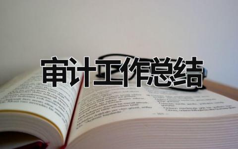審計(jì)工作總結(jié) 國(guó)企審計(jì)工作總結(jié) (21篇）