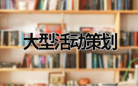 大型活動策劃 大型活動策劃具體方案 (18篇）