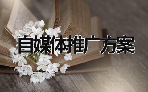 自媒體推廣方案 自媒體推廣方案 (16篇）
