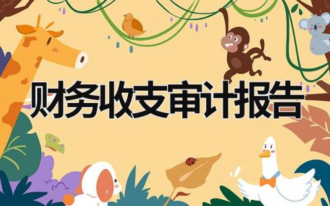 財務收支審計報告 財務收支審計報告 (11篇）