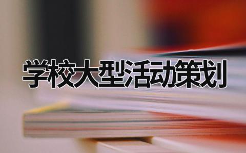 學校大型活動策劃 學校大型活動策劃案 (15篇）