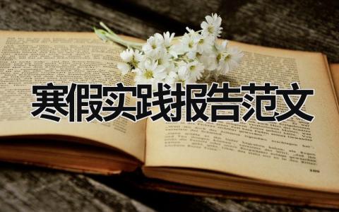 寒假實踐報告范文 寒假實踐報告范文3000字 (17篇）