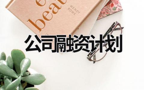 公司融資計劃 公司融資計劃書模板 (17篇）