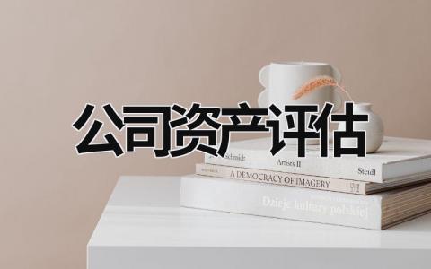 公司資產(chǎn)評估 公司資產(chǎn)評估 (15篇）