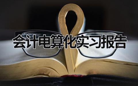 會計電算化實習(xí)報告 會計電算化實訓(xùn)報告書 (17篇）