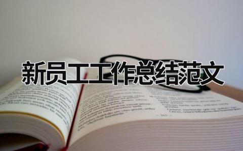 新員工工作總結范文 新員工工作總結范文100字 (18篇）