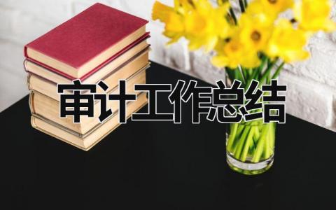 審計工作總結 配合審計工作總結 (17篇）