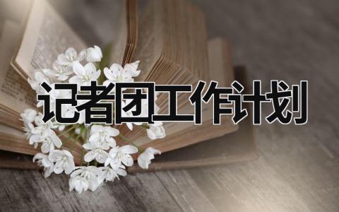記者團(tuán)工作計(jì)劃 記者團(tuán)工作規(guī)劃 (16篇）