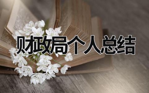 財政局個人總結 財政局人員工作總結 (15篇）