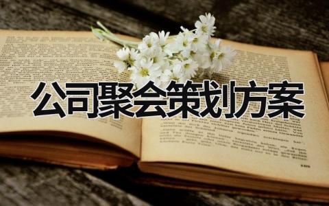 公司聚會策劃方案 公司聚會流程安排 (19篇）