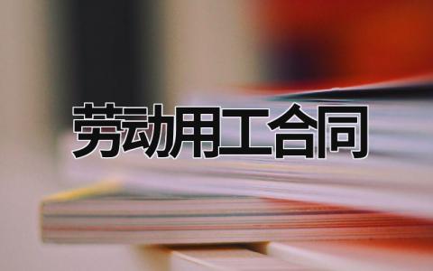 勞動用工合同 勞動用工合同書完整版 (21篇）
