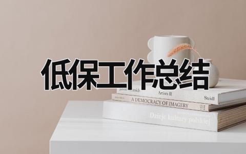 低保工作總結 低保工作總結 (15篇）
