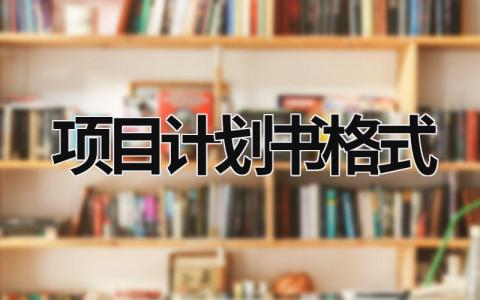 項目計劃書格式 項目計劃書格式范本 (6篇）