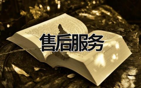 售后服務 售后服務承諾書范本 (17篇)