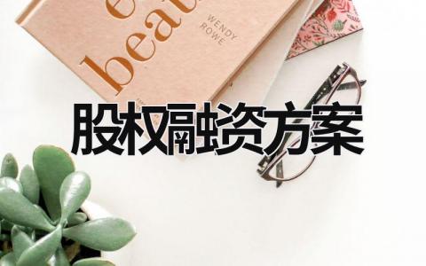 股權融資方案 股權融資方案具體例子 (9篇）