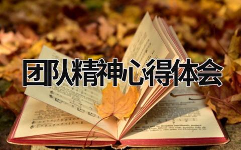 團隊精神心得體會 團隊精神心得體會總結短句 (17篇）