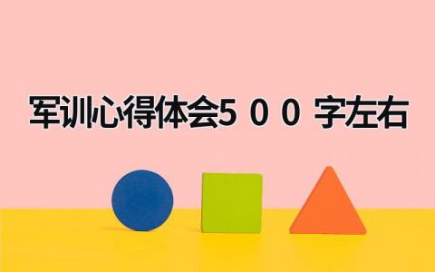 軍訓心得體會500字左右 病號連軍訓心得體會500字左右 (21篇）