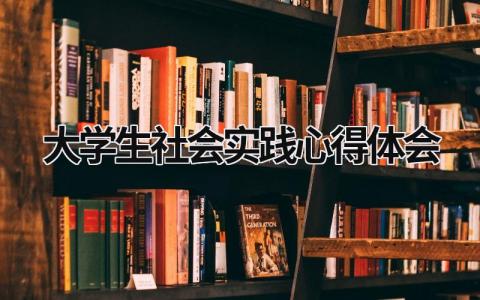 大學生社會實踐心得體會 大學生社會實踐心得體會800字 (17篇）