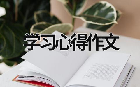 學習心得作文  (21篇）