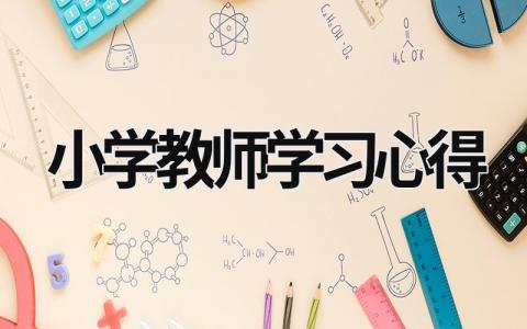 小學教師學習心得 小學教師的心得體會 (16篇）