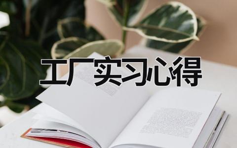 工廠實習(xí)心得 工廠心得體會500字 (21篇）