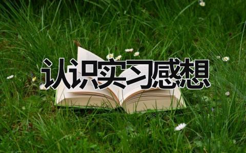 認識實習感想 認識實習感想 (18篇）