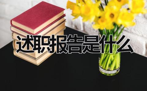 述職報告是什么 述職報告是什么級別的人寫的 (7篇）