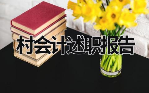 村會計述職報告 村會計述職報告2023最新完整版 (15篇）
