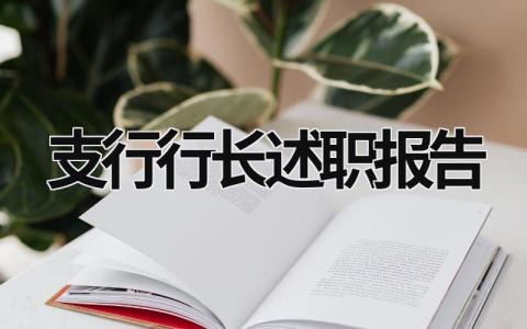 支行行長述職報告  (18篇）