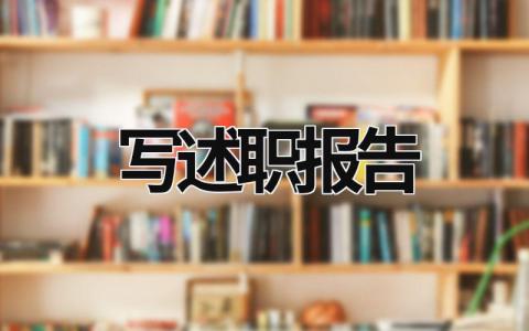 寫述職報告  (20篇）