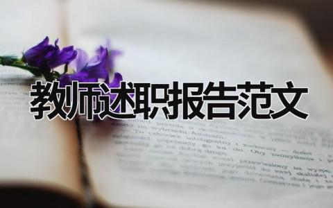 教師述職報(bào)告范文 一級(jí)教師述職報(bào)告范文 (19篇）