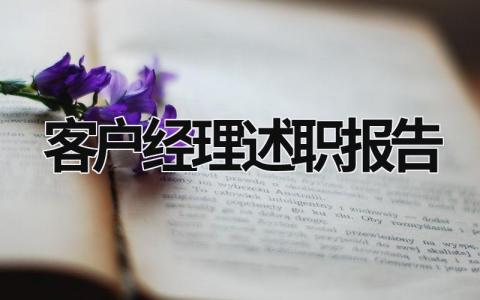 客戶經理述職報告 客戶經理述職報告怎么寫 (13篇）