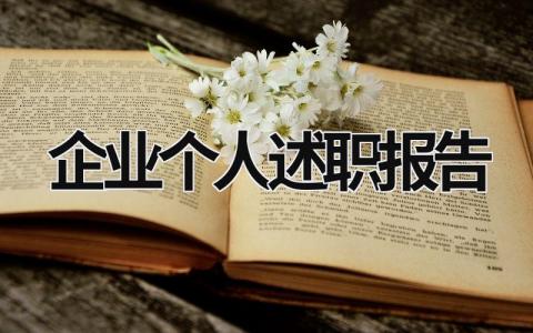 企業個人述職報告 企業個人述職報告怎樣寫 (15篇）