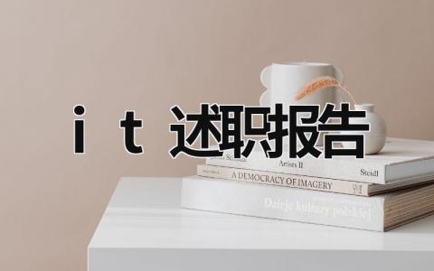 it述職報告 it述職報告 (18篇）