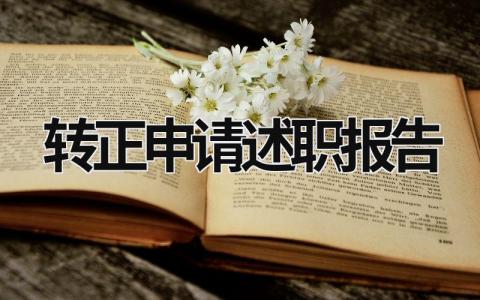 轉(zhuǎn)正申請(qǐng)述職報(bào)告  (20篇）
