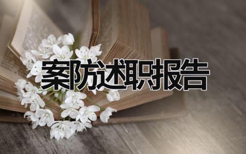 案防述職報告 案防履職情況報告 (15篇）