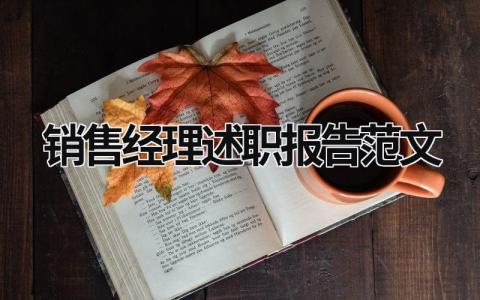 銷售經(jīng)理述職報(bào)告范文 銷售經(jīng)理述職年終總結(jié) (15篇）