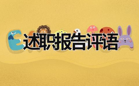 述職報告評語 述職報告評語簡短 (18篇）