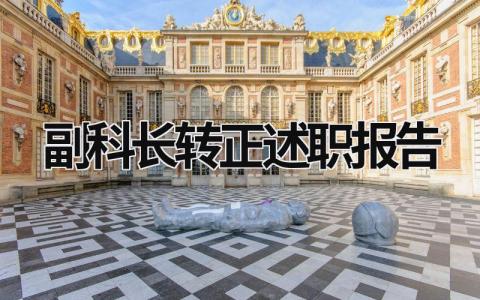 副科長轉(zhuǎn)正述職報(bào)告 副科長轉(zhuǎn)正申請書 (12篇）