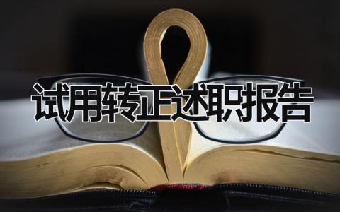 試用轉正述職報告 試用期轉正述職報告 (20篇）