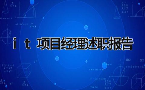 it項目經理述職報告 it項目經理述職報告ppt (17篇）