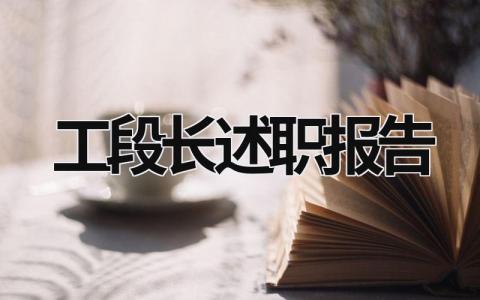 工段長述職報告 工段長的述職報告 (18篇）