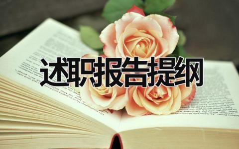 述職報告提綱 述職述廉報告提綱 (16篇）