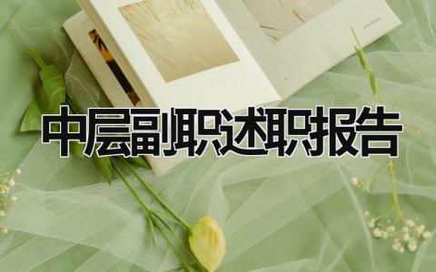 中層副職述職報告 中層副職個人總結 (12篇）