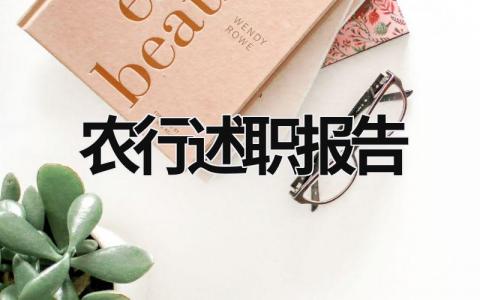 農行述職報告  (16篇）