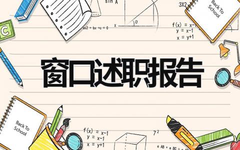 窗口述職報告 窗口述職報告ppt (13篇）