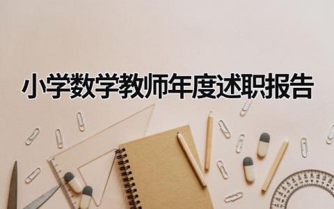 小學數學教師年度述職報告  (17篇）