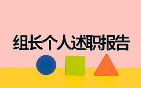 組長個人述職報告 組長個人述職報告怎么寫 (19篇）