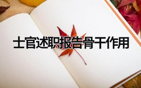 士官述職報告骨干作用 士官述職報告履行職責方面 (8篇）
