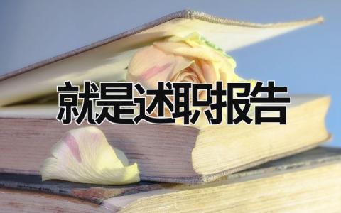 就是述職報(bào)告 述職報(bào)告是啥意思? (21篇）